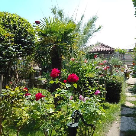 Guest House Amazonia Варна Экстерьер фото