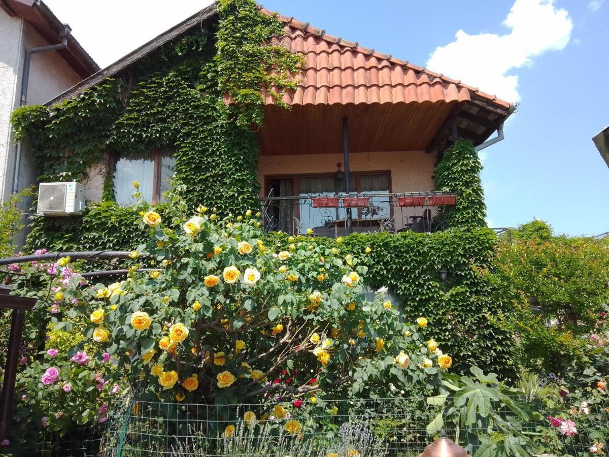 Guest House Amazonia Варна Экстерьер фото