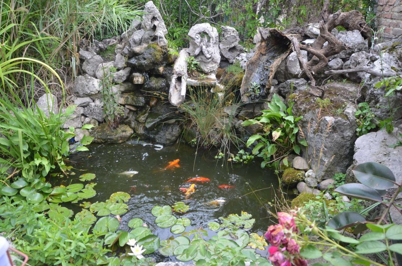 Guest House Amazonia Варна Экстерьер фото